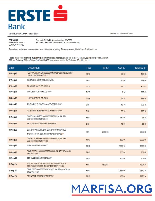 Downloadable Erste Bank firm checking account statement Word and PDF template